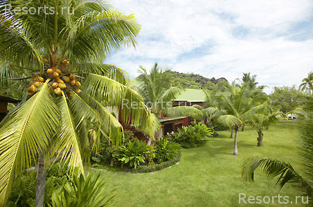 Paradise Sun Superior 22